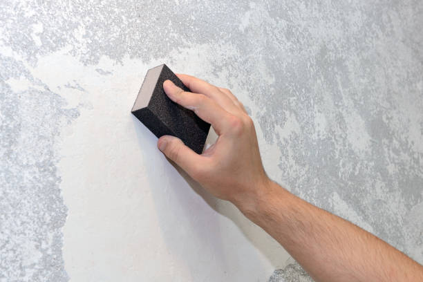 Best Black Mold Removal  in Midway, AR