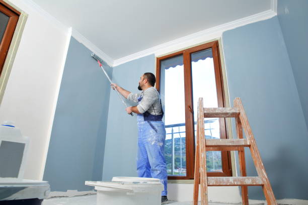 Reliable Midway, AR Mold Removal Solutions