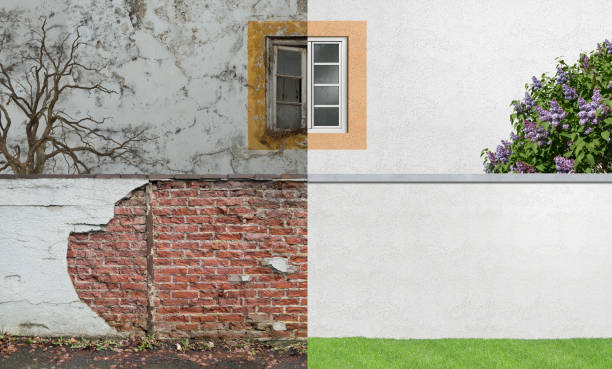 Best Industrial Mold Remediation  in Midway, AR