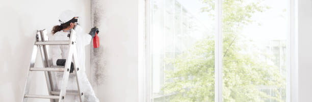 Best Real Estate Mold Inspection  in Midway, AR