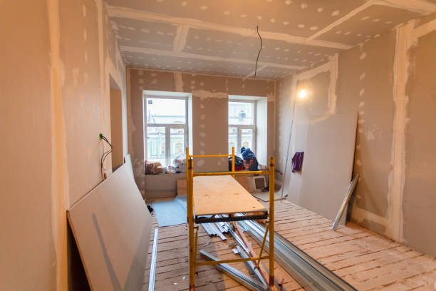 Best Mold Remediation for Vacation Homes  in Midway, AR