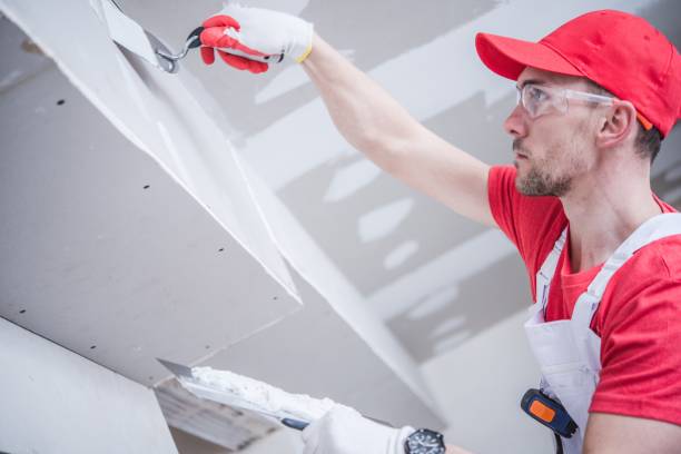 Mold Remediation for Vacation Homes in Midway, AR